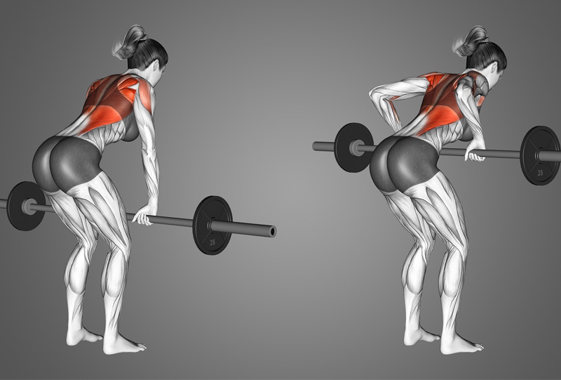 Cách tập Bent Over Barbell Row đúng kỹ thuật 