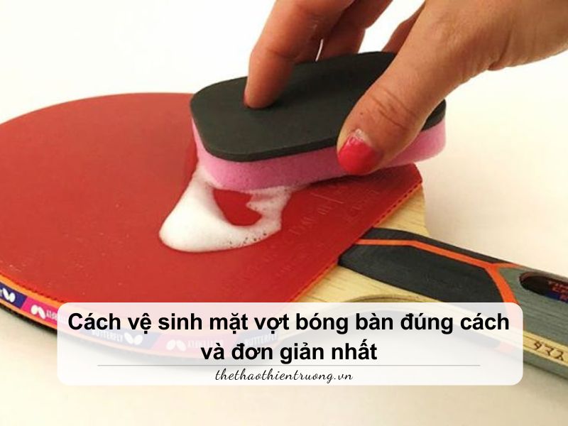 cách vệ sinh mặt vợt bóng bàn