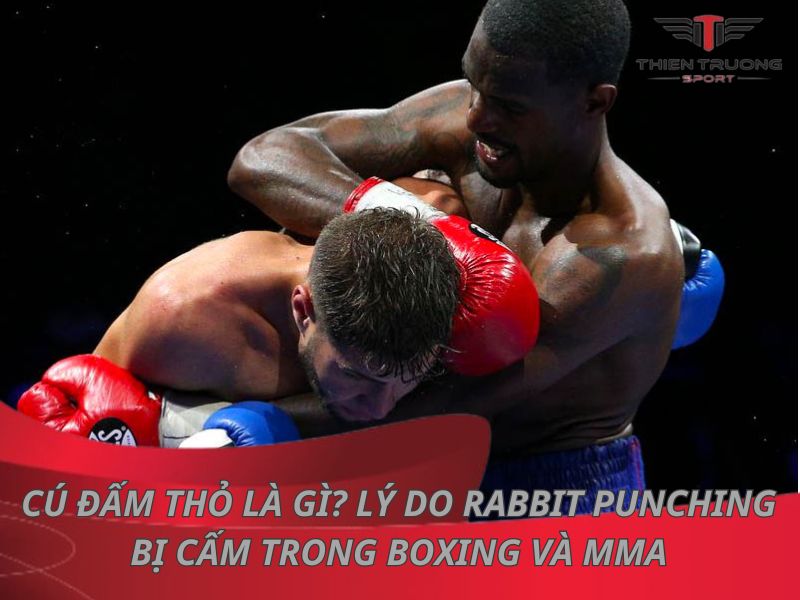 Cú đấm thỏ là gì