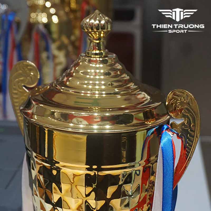 Trên đỉnh cúp thể thao 3013 có thể thay đổi phù hợp với từng giải thưởng như cầu lông, bóng đá,....