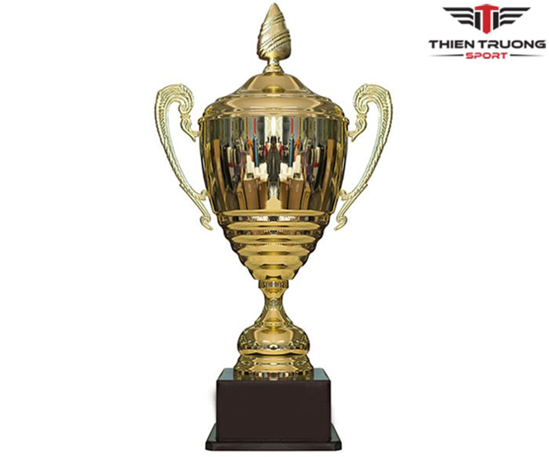 Cúp thể thao 9V1109