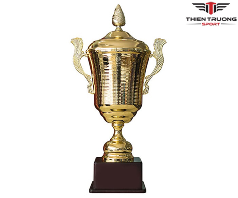Hình ảnh cúp thể thao 9V1116
