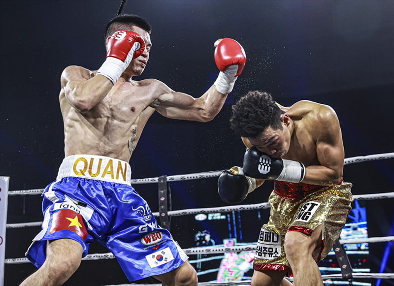 luật boxing