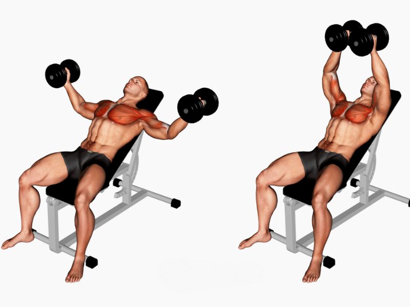 Bài tập Incline Dumbbell Fly