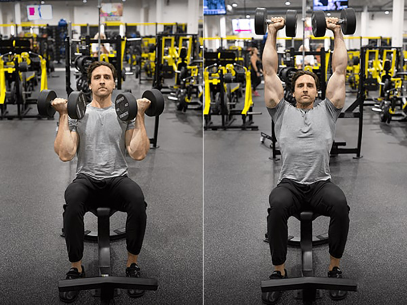 Ngồi đẩy tạ - Dumbbell Shoulder Press