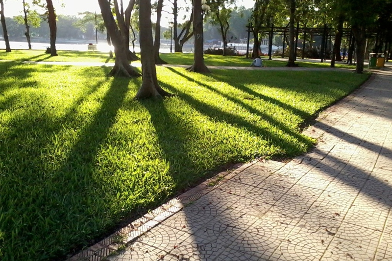 Đường chạy bộ trong công viên Thống Nhất 