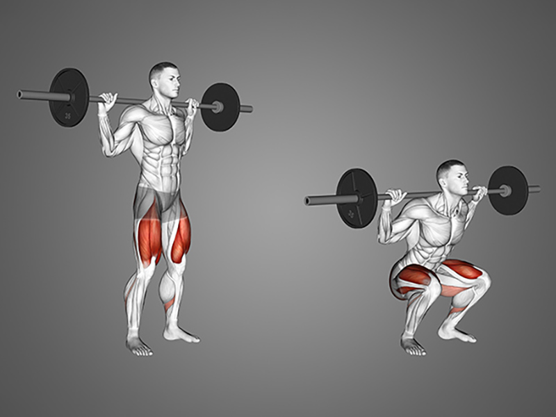 Bài tập gánh tạ - Barbell Squat