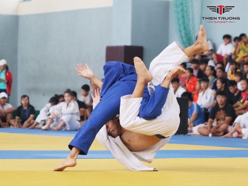 Giải đấu võ thuật Việt Nam 