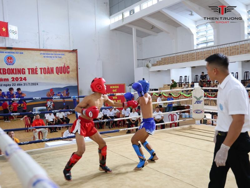 giải đấu võ thuật Việt Nam