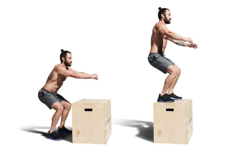 Jump Squat là gì? Cách tập Jump Squat đúng và hiệu quả nhất 5 Box Jump Squat