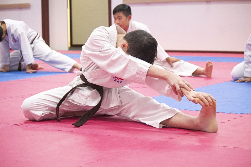 võ Karate