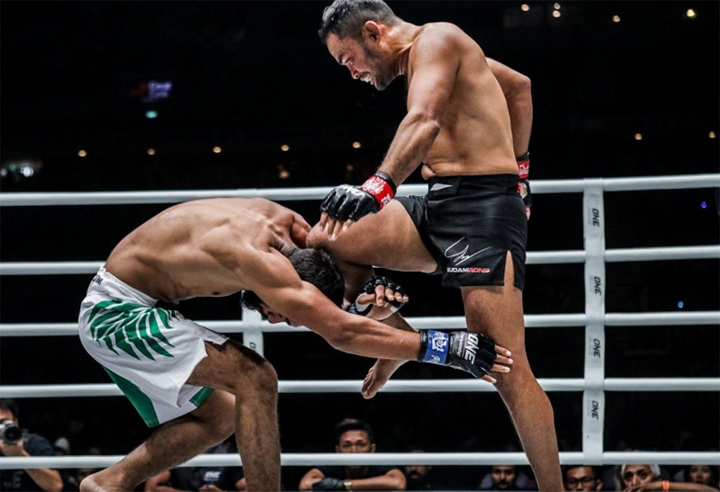 Kỹ thuật đá MMA