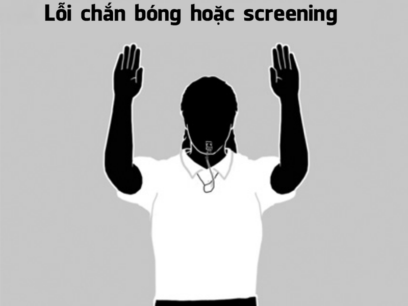 Hiệu lệnh lỗi chắn bóng