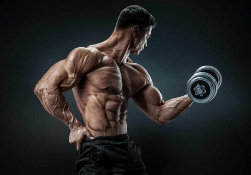 Hypertrophy là gì?