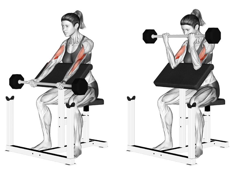 Tập Preacher Curl
