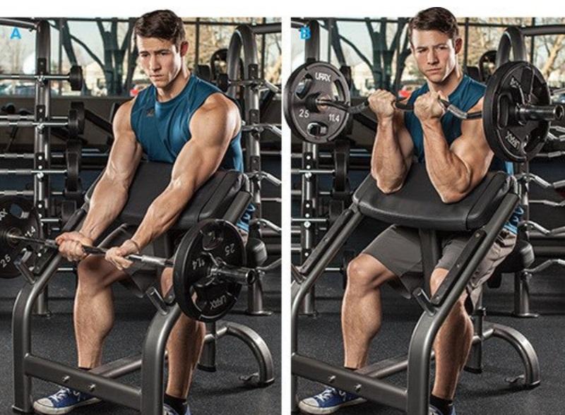 Bài tập Preacher Curl