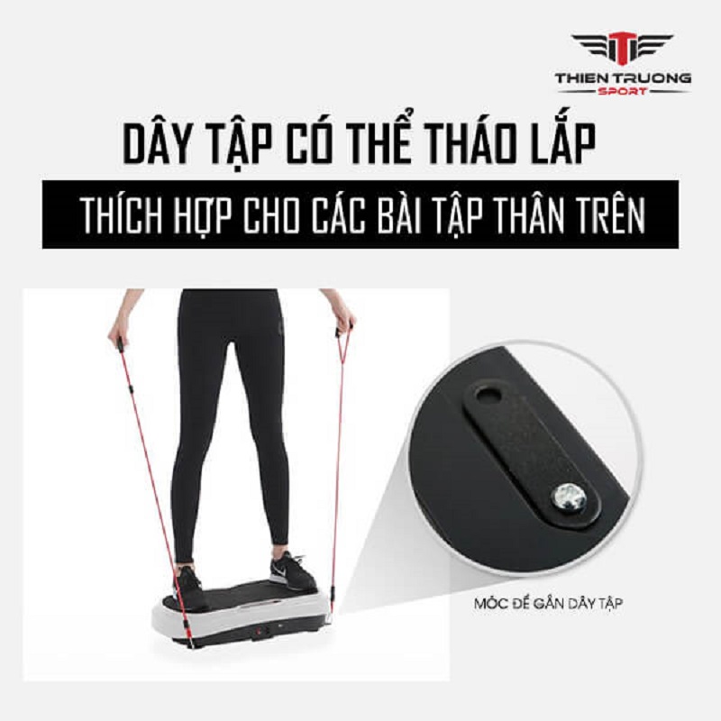 máy rung toàn thân TS-21927