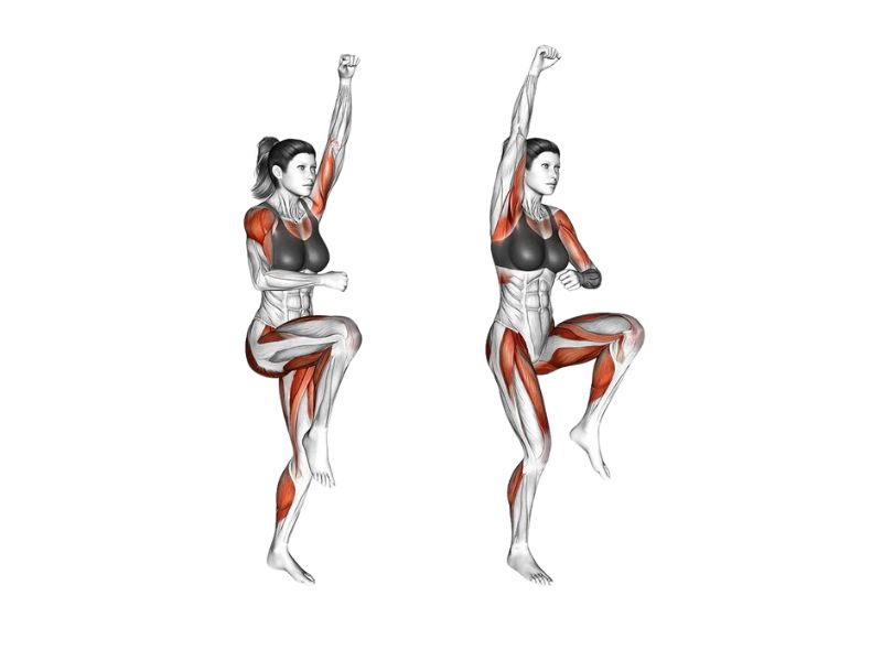 Mountain Climbers là gì? Cách tập để giảm mỡ bụng tốt nhất? 4 Mountain Climbers