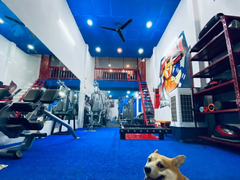 Phòng tập NTL GYM & FITNESS