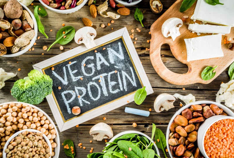 Nguồn protein từ thực vật 