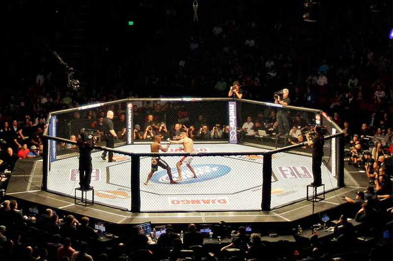 Sàn thi đấu MMA