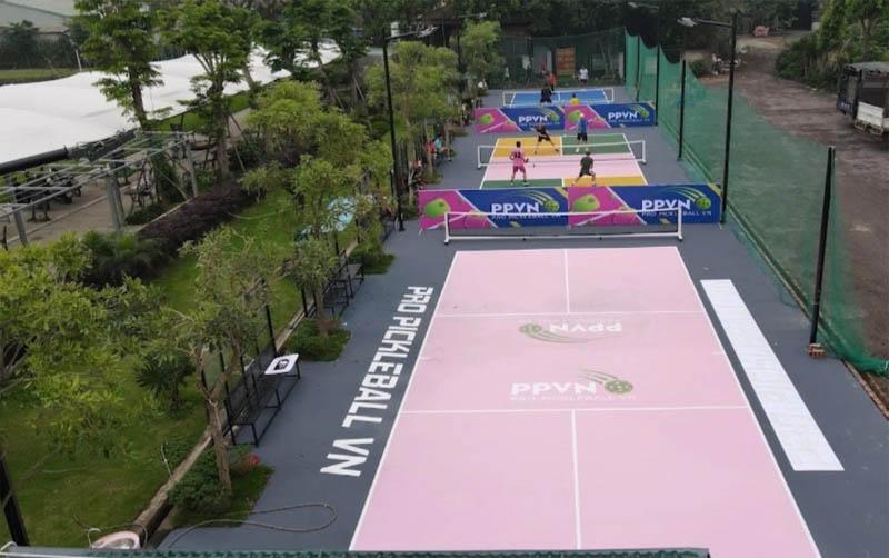 Sân Pro Pickleball Vn
