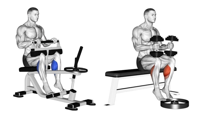 Seated Calf Raise