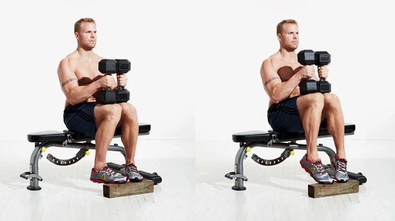 Seated Calf Raise bài tập bắp chân 3 Seated Calf Raise