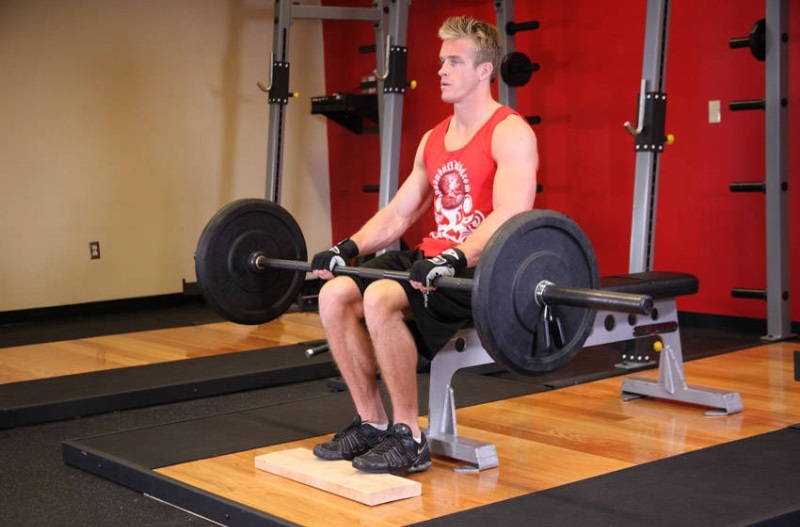 Seated Calf Raise bài tập bắp chân 4 Seated Calf Raise
