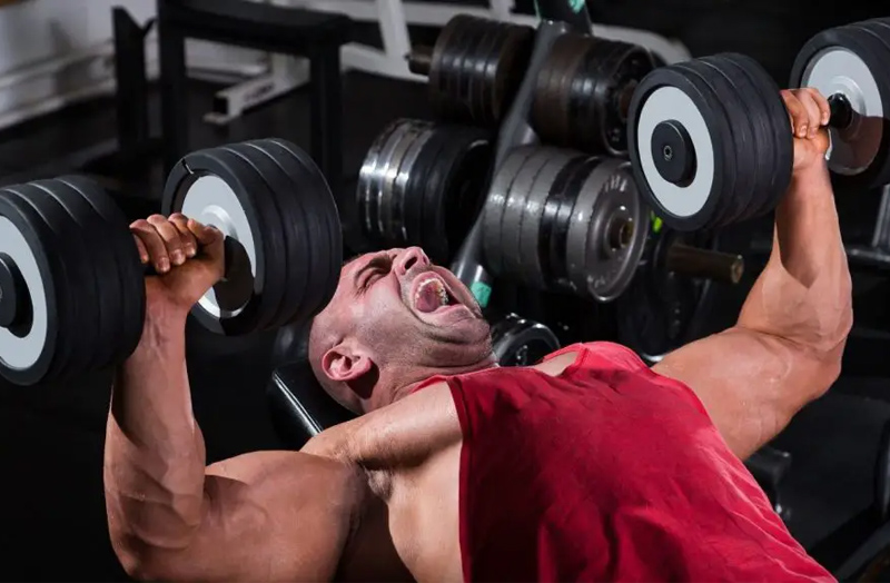 Dumbbell Bench Press - Bài tập ngực với tạ đơn tốt cho Gymer 2 Tập Dumbbell Bench Press