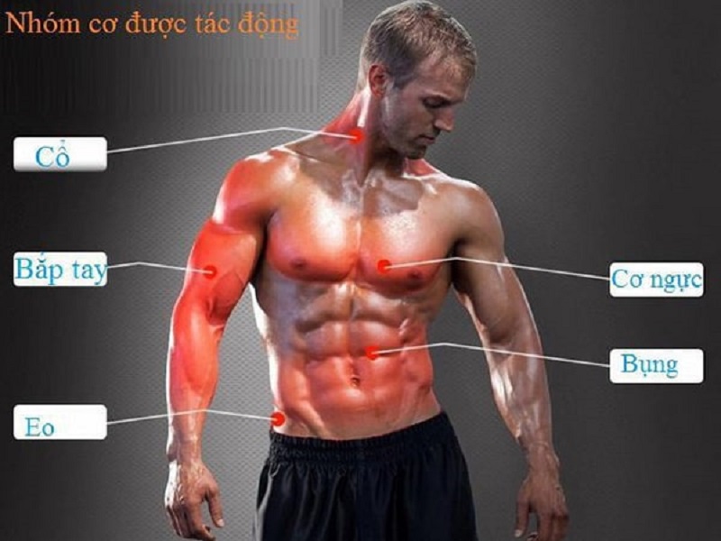 Gậy bẻ tập cơ tay có tác dụng gì