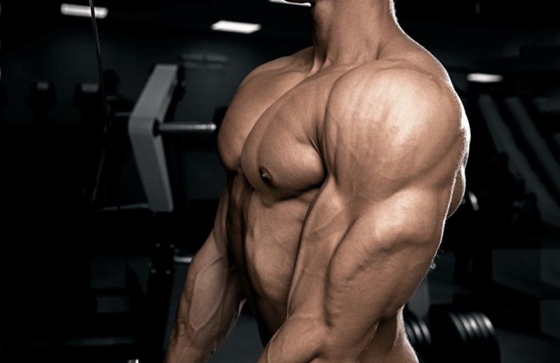 Triceps Pushdown là gì? Cách tập để giúp bắp tay sau to khỏe? 2 Luyện tập Triceps Pushdown hỗ trợ phát triển cơ bắp tay săn chắc