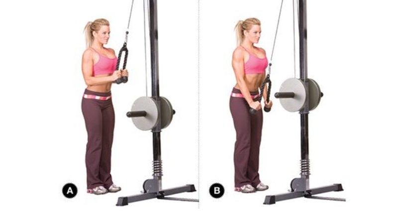 Triceps Pushdown là gì? Cách tập để giúp bắp tay sau to khỏe? 4 Rope Triceps Pushdown