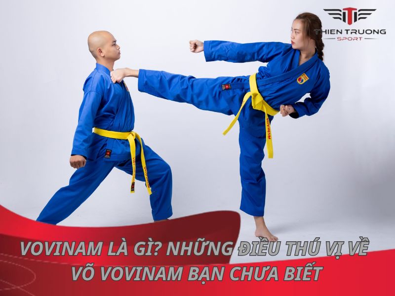 Vovinam là gì