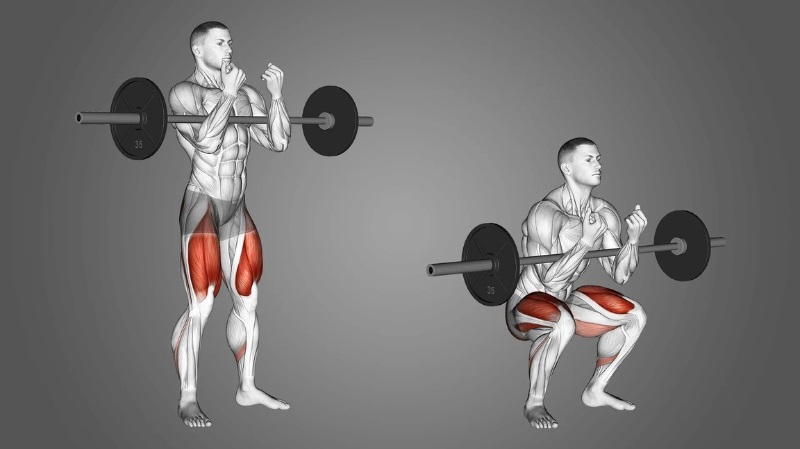 Zercher Squat là gì? Cách tập hiệu quả tốt nhất cho người mới 1 Bài tập Zercher Squat