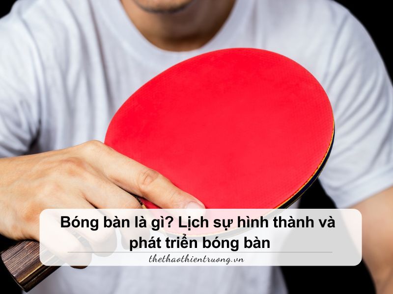 Bóng bàn là gì