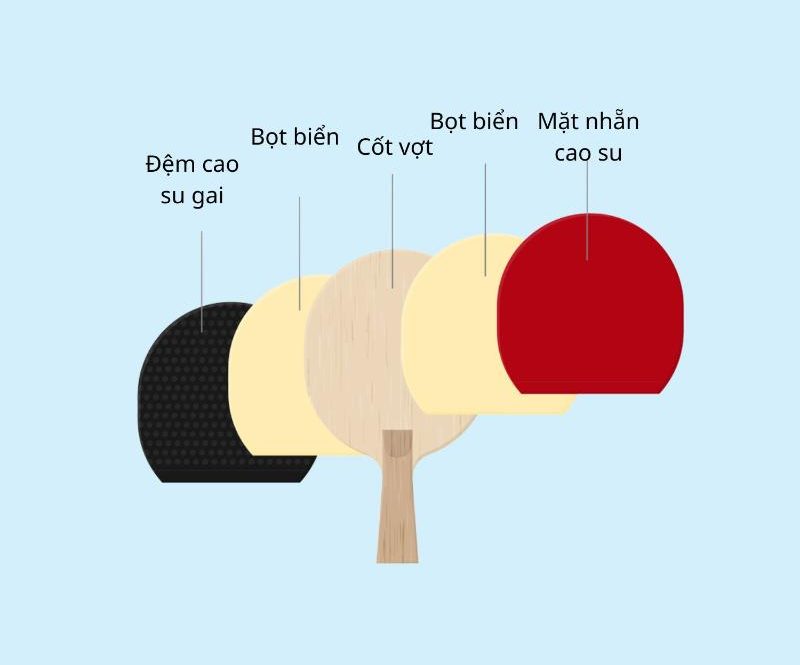 Cấu tạo vợt bóng bàn như thế nào đạt chuẩn?