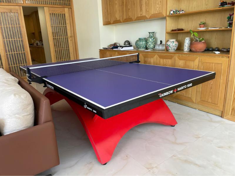 Địa chỉ mua bàn bóng bàn DHS chính hãng, giá tốt