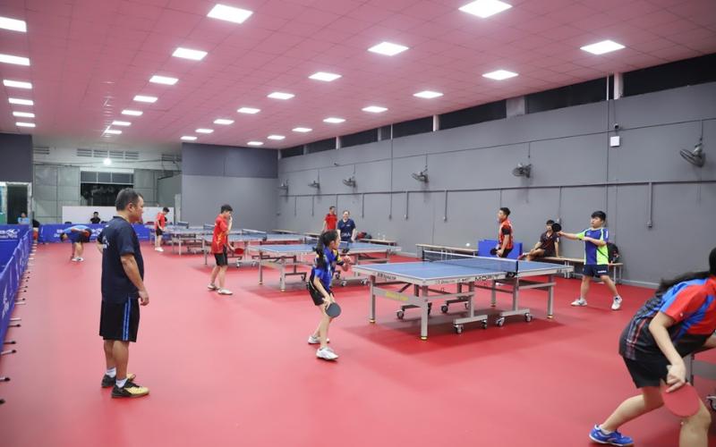 Top 5 địa chỉ học bóng bàn ở Hà Nội uy tín, giá tốt nhất 2025