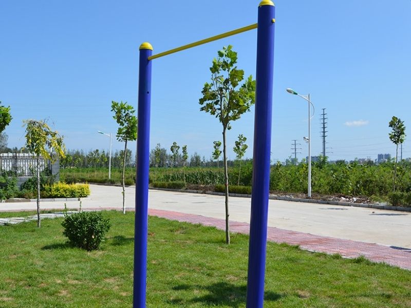 Xà đơn 