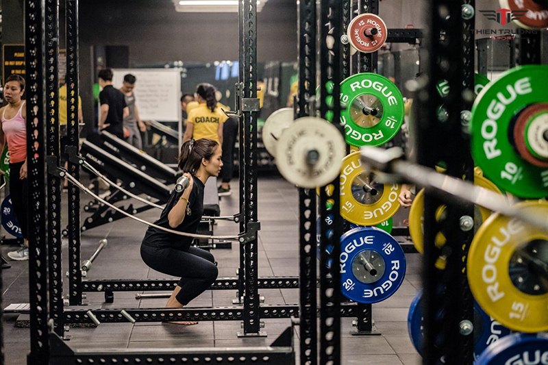 Swequity Ultimate Fitness