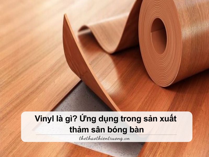 vinyl là gì