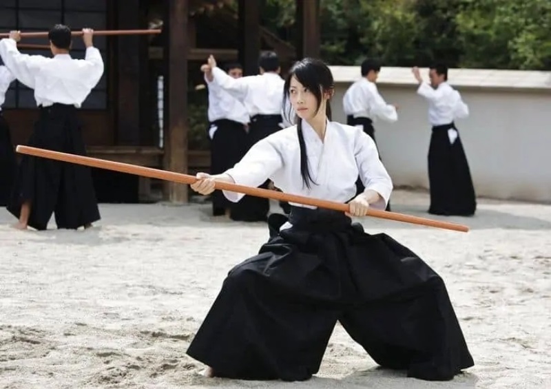 võ aikido