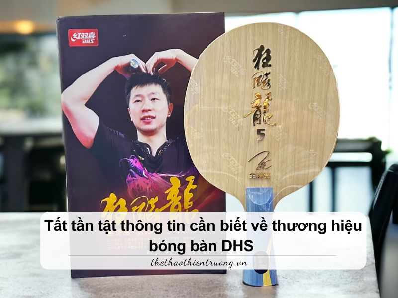 thương hiệu bóng bàn DHS