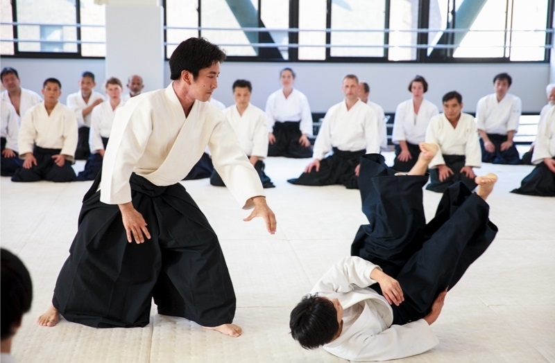 võ aikido