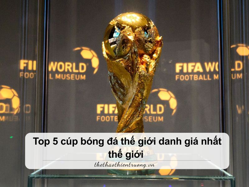 cúp bóng đá