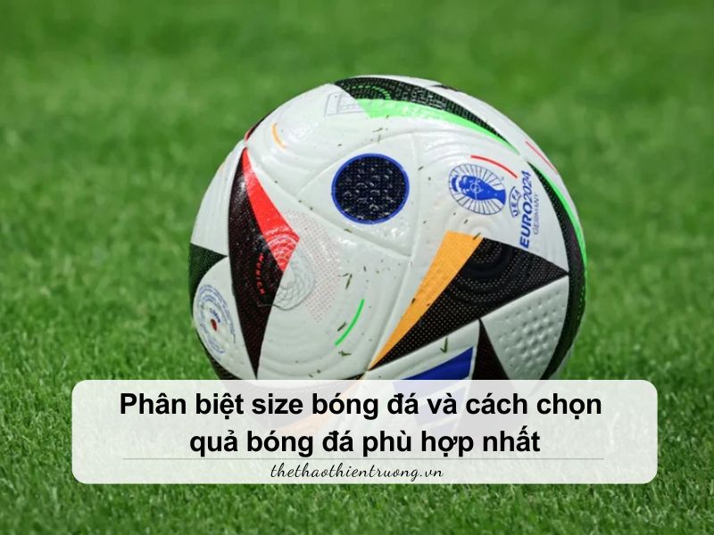 size bóng đá