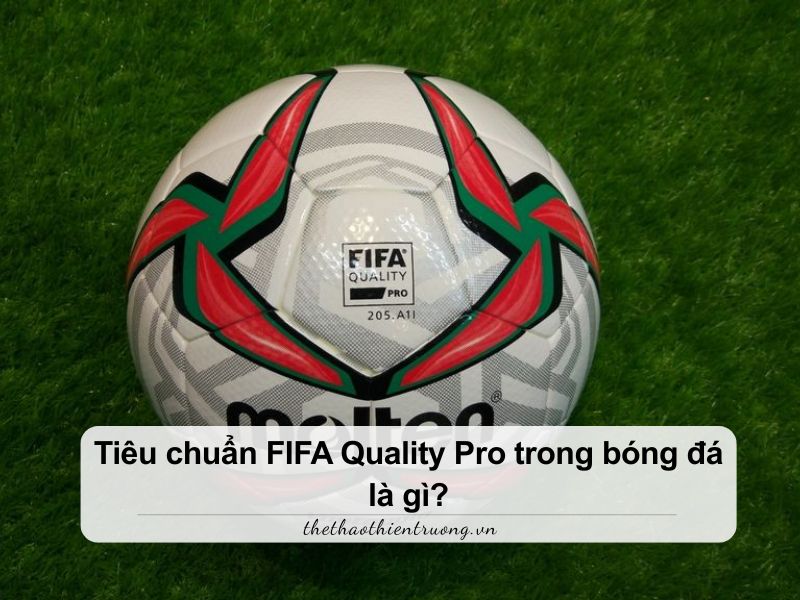 FIFA Quality Pro