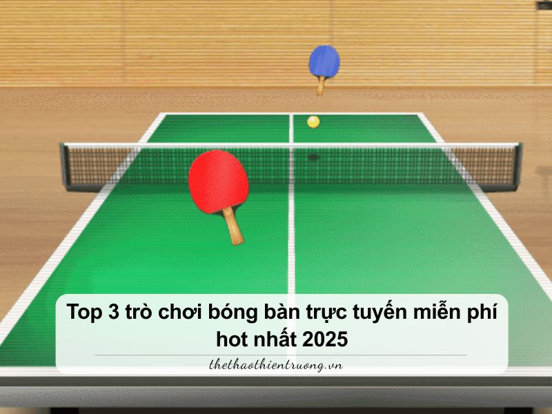 trò chơi bóng bàn