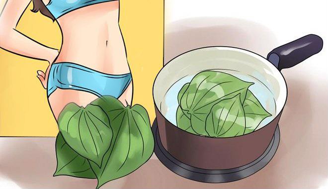 Trị thâm vùng kín bằng lá trầu không Trị thâm vùng kín bằng lá trầu không